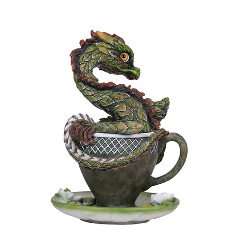 TEA DRAGON C/12