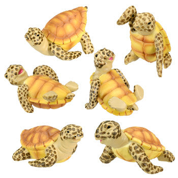 SEA TURTLE, SET/6 (RD), C/18