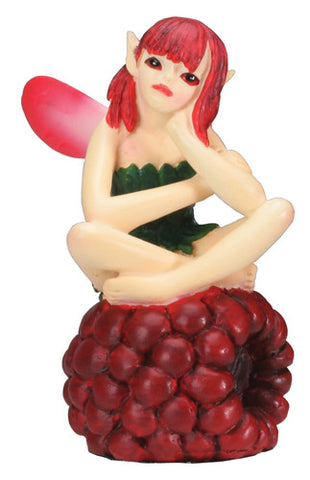 RASPBERRY, C/36