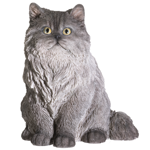 PERSIAN CAT C/1