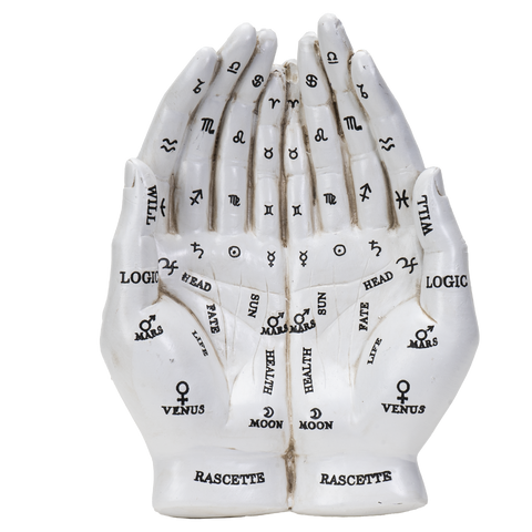 PALMISTRY HANDS HOLDER C/6