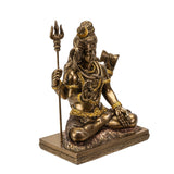 SHIVA C/16