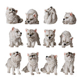 12PC WOLF DEN DISPLAY SET C/4