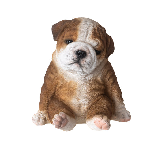 SITTING BULLDOG PUPPY C/4