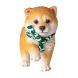 SHIBA INU C/36