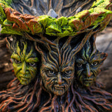 ENT STAND C/18