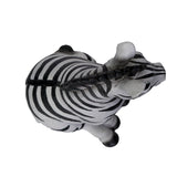 ZEBRA FOAL C/18
