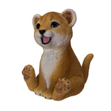 LION CUB C/18