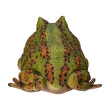 BULL FROG C/8