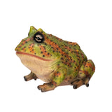 BULL FROG C/8