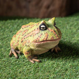 BULL FROG C/8
