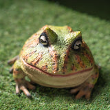 BULL FROG C/8