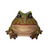 BULL FROG C/8