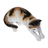 LYING CALICO CAT C/4