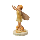 HAZELNUT FAIRY C/72