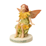 MARIGOLD FAIRY C/72