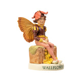 WALLFLOWER FAIRY C/72