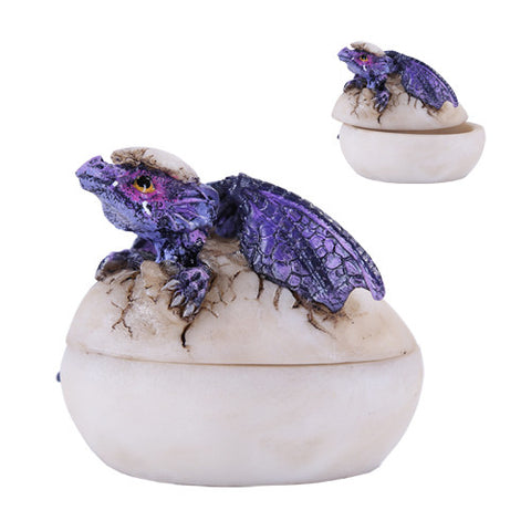 DRAGON EGG BOX C/48