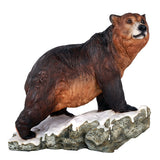 Grizzly Bear