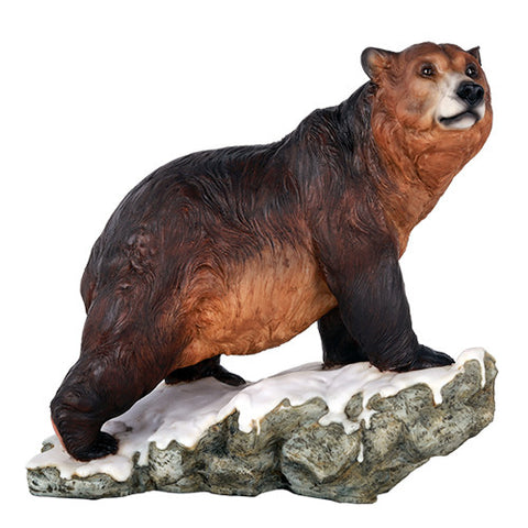 Grizzly Bear