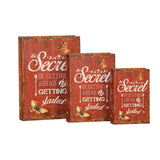 DISC-SECRET BOOK BOX SET OF 3 C/8 MINIMUM OF 2