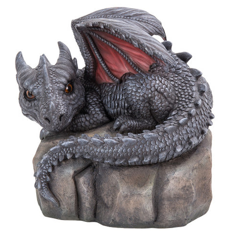 GARDEN DRAGON  C/1