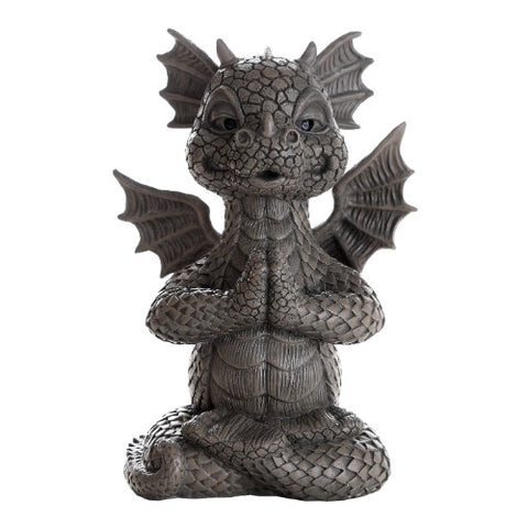 YOGA GARDEN DRAGON C/6