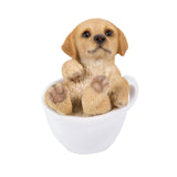 GOLDEN RETRIEVER MINI TEACUP PUPS C/24