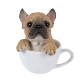 FRENCH BULLDOG TEACUP PUPS C/12