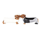 ^ BRIDE GROOM DOXY S & P C/48 MINIMUM OF 4
