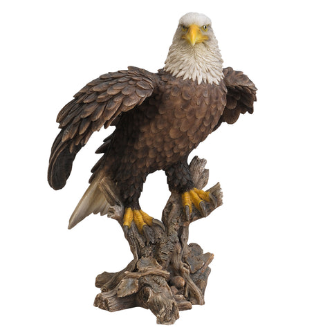 AMERICAN BALD EAGLE C/1