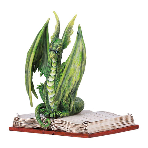 SCHOLAR DRAGON C/12