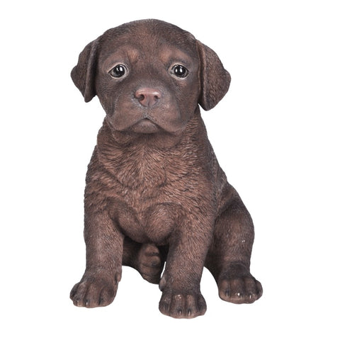 CHOCOLATE LAB PUPPY C/6