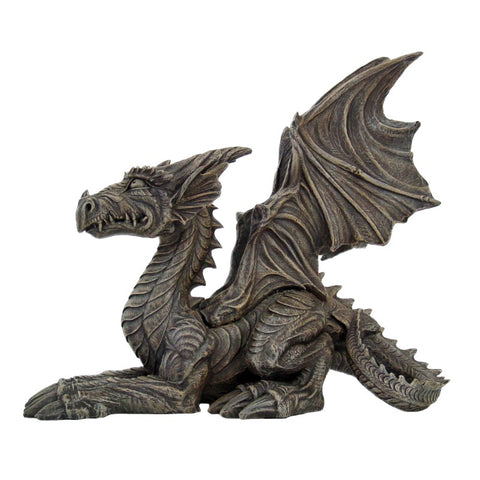 GARDEN DRAGON  C/1
