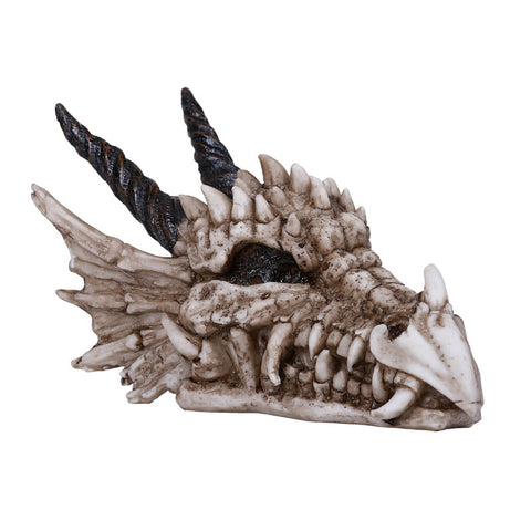 DRAGON SKULL C/12
