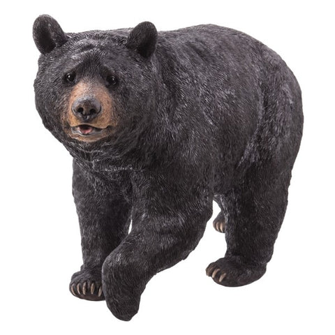 BLACK BEAR C/1