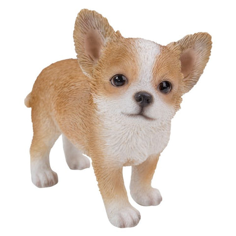 CHIHUAHUA PUP STANDING C/6