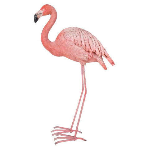 FLAMINGO C/1