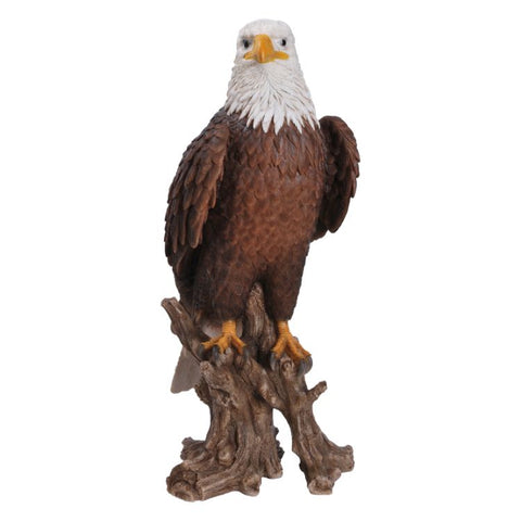 GOLDEN EAGLE C/1