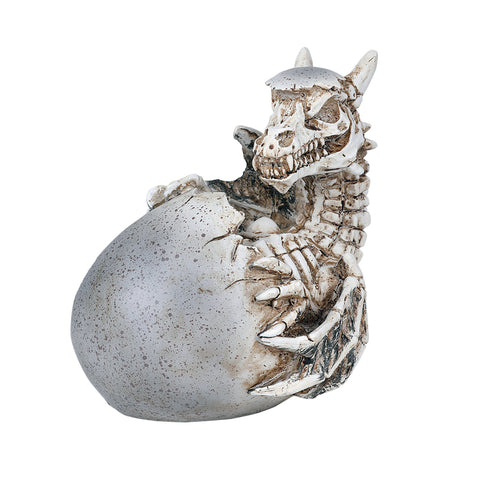 DISC-SKELETON DRAGON EGG C/24