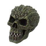 GATORHEAD SKULL C/12
