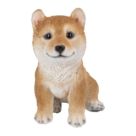 SHIBA INU PUPPY C/6