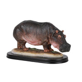 HIPPOPOTAMUS C/6