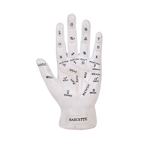 FORTUNE TELLER PALM C/16