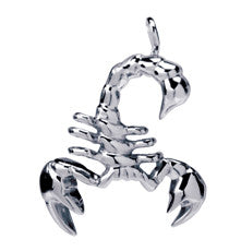 SCORPION PENDANT 316L, DC/60