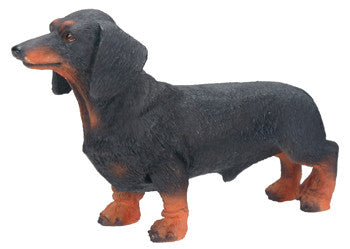 DISC-DACHSHUND, C/96