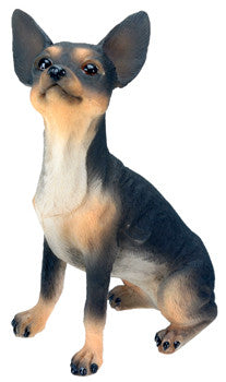 CHIHUAHUA (BLACK)(RD), C/96