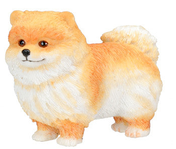 POMERANIAN PUPPY, C/96