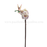 ORCHID FLITTY C/12